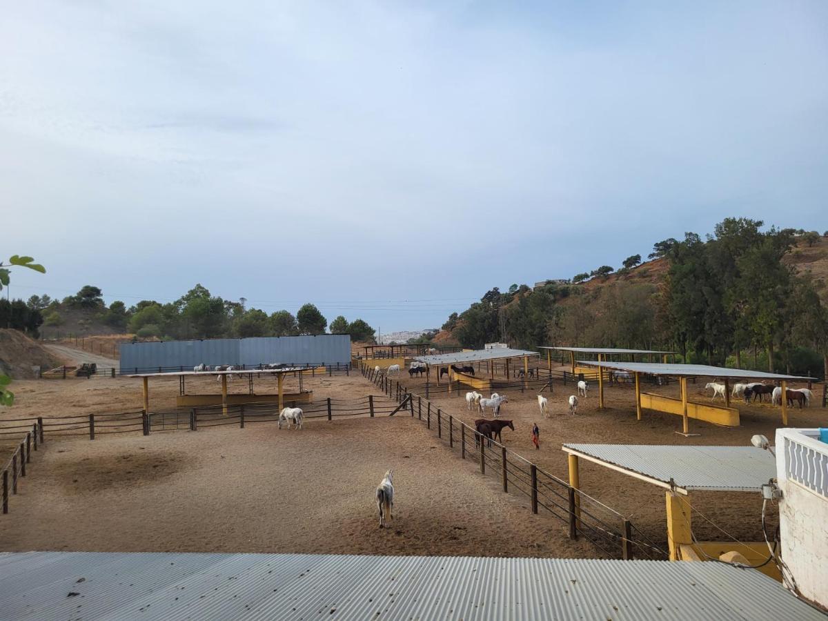 Finca Palmers Dos Mijas Eksteriør billede