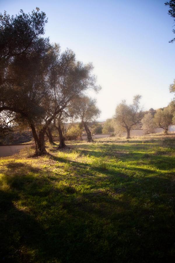 Finca Palmers Dos Mijas Eksteriør billede